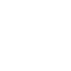 illustrator icon